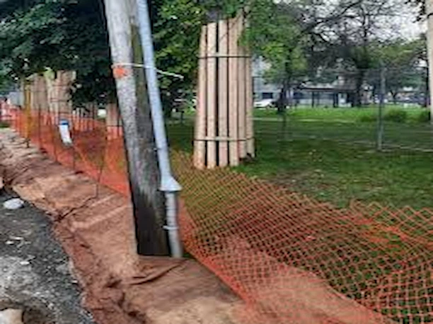 protection arbre