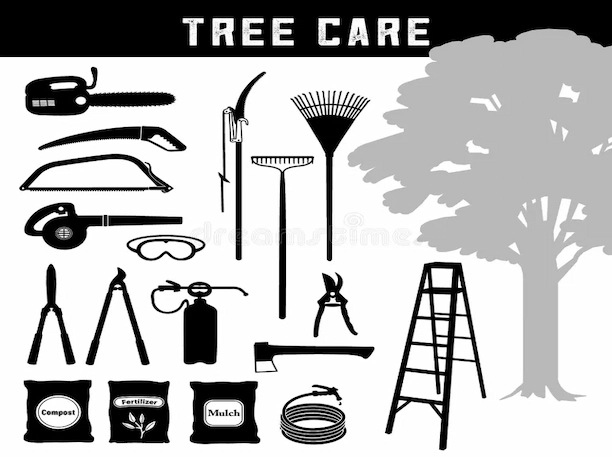 Les meilleurs outils pour entretenir vos arbres