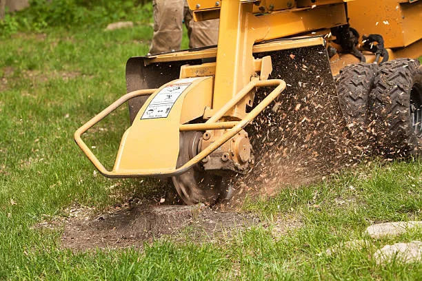 Machine d’essouchage sur pelouse résidentielle