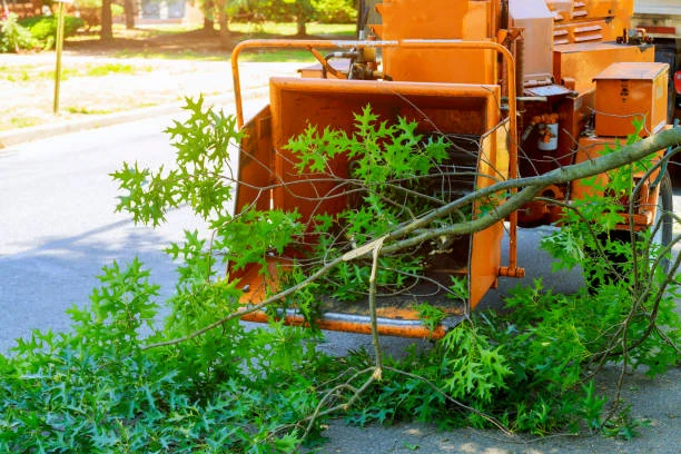 Broyage de branches sur place avec évacuation des résidus