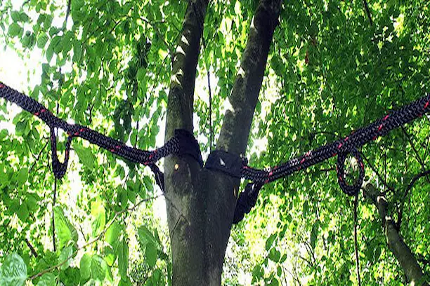 Arbre haubané avec câble d’acier