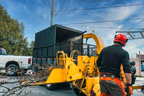 Arboriculteur à Dunham intervenant dans une haie